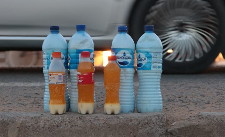 Valorisation du Lait Local : Opportunités Économiques