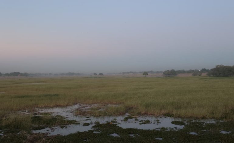Changement Climatique : Impacts sur l’Agriculture Tchadienne