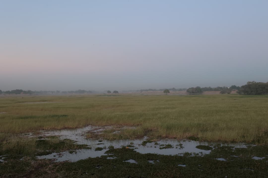 Changement Climatique : Impacts sur l’Agriculture Tchadienne