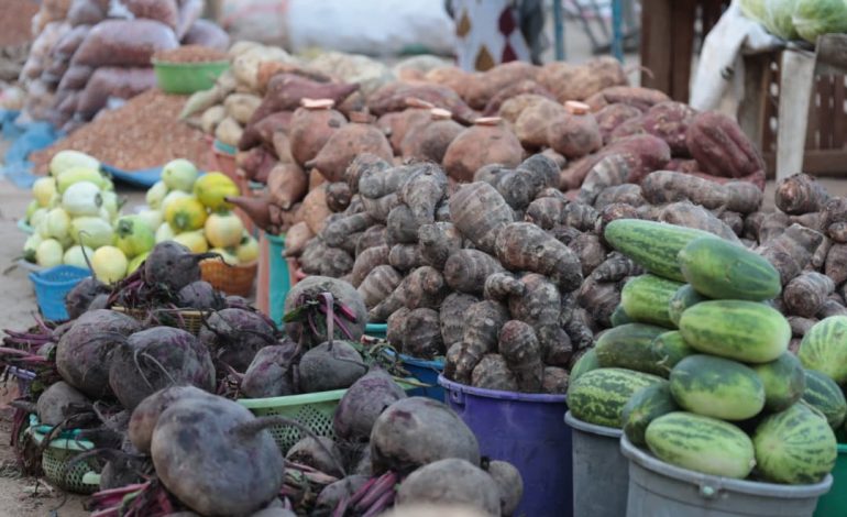 Calendrier agricole au Tchad : que semer et quand selon les zones