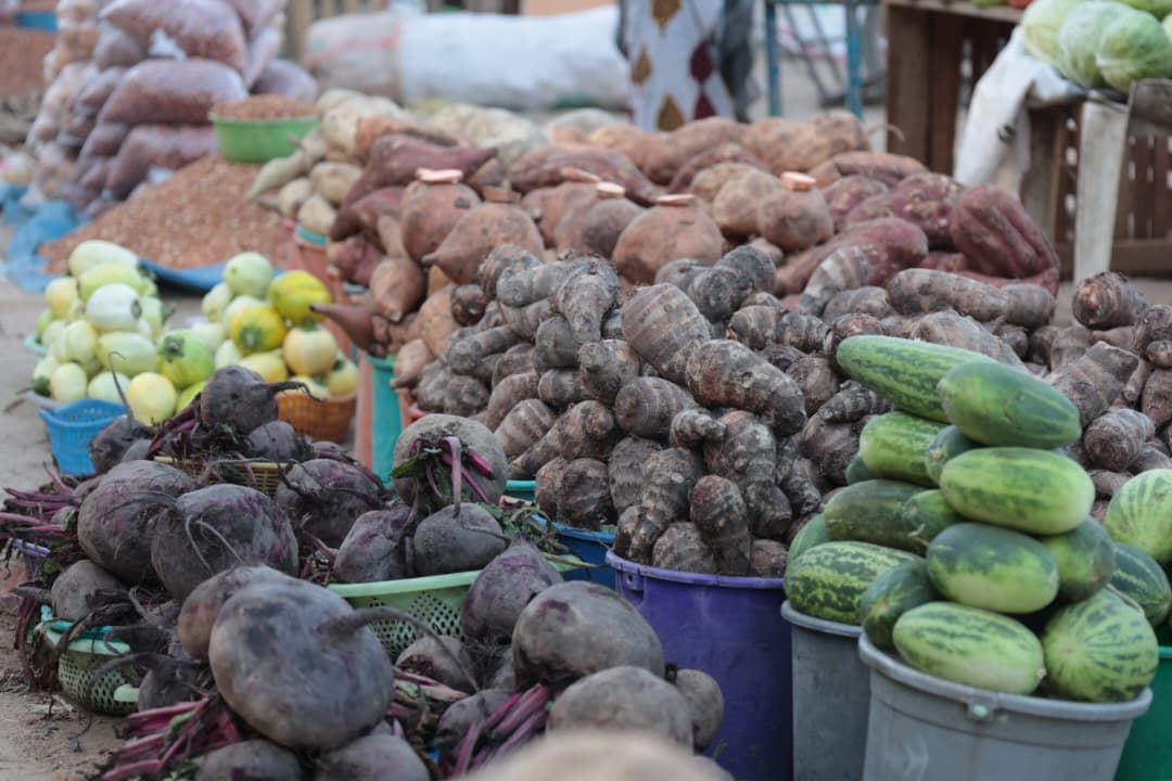 Calendrier agricole au Tchad : que semer et quand selon les zones